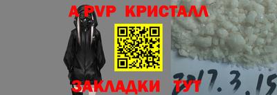 spice Кингисепп