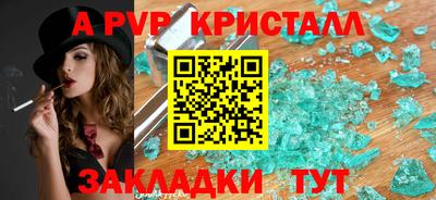 spice Кингисепп