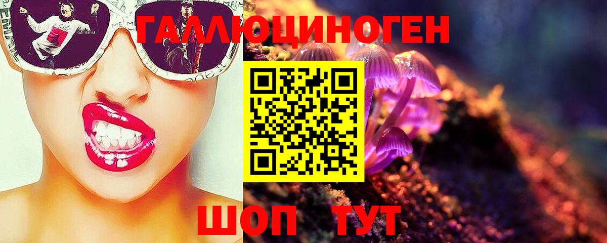 Галлюциногенные грибы Psilocybe Коркино